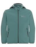 Jack Wolfskin Unisex Kinder Fourwinds Jacket Kids, Jade Green, 92