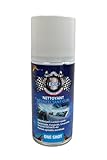 ERC - [Klimreiniger] | Desinfektionsmittel mit schneller Wirkung | Bakteriizid, Fungizid und Viruzid | Angenehmer Minzduft | Aerosol 150 ml