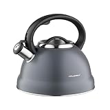 FLORINA Wasserkessel (2,5 l) | Edelstahl Teekessel JACOB | Flötenkessel mit Bakelit Griff & Pfeifton | Pfeifkessel für Tee & Kaffee | Geeignet für alle Herdarten | Farbe: Grau