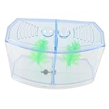 BESPORTBLE Box Aquarium Fischzucht Tank Garnelen Zuchtbehälter Aquarium Teiler Tank Fischbehälter Kunststoff