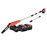 DPPF-310-40V Akku-Hochentaster für den Garten - inkl. 2x 2 Ah Akku & Ladegerät