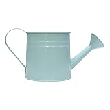 Metall Gießkanne Pflanzenhalter Stilvolle Metall Bewässerungsflasche einzigartige Pflanzenvase für Haus Büro Garten Schmuck kleine Dose