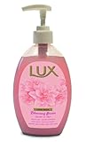 Lux Professional Handseife - Hautfreundliche Handpflege, Pumpflasche für eine schonende und hygienische Reinigung der Hände, 500ml