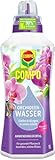 COMPO Orchideen Wasser - Dünger für Orchideen - Nährstoffreich und kaliumarm - 1 Liter, Orchideendünger
