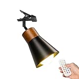 FSLiving Wiederaufladbar Klemmleuchte mit Fernbedienung, Einstellbar Clip auf Schreibtisch Leselampe,Dimmbar Clamp Nachttischlampe mit Flexarm für Schreibtisch Nachttisch Regal- 12x10CM