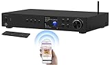 VR-Radio WLAN Radio: Digitaler WLAN-HiFi-Tuner, Internetradio, DAB+, Bluetooth, schwarz (DAB Receiver, DAB Radio mit Cinch Ausgang, Kopfhörer Adapter)