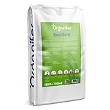 Grassamen Spielrasen Schnell Keimend (15 Kg - 750 M2) Organifer - Rasensamen - Spielrasen Grassamen - Grassamen - Grassamen - Grassamen Sportrasen Und Spielrasen - Nak-Zertifiziert