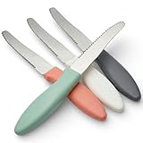 MIJOMA Küchenmesser Steakmesser Set 4-teilig – Edelstahl Wellenschliff – abgerundete Spitze – ergonomische Griffe in Pastellfarben – Küchenmesser für Fleisch & mehr