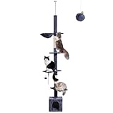 NEGTTE Kratzbaum Deckenhoch Höhenverstellbar (230-275cm) Katzenturm mit 2 Kratzsäulen, Hängematte & Höhle Kratzbaum Schmal Hoch für kleine Räume Deckenspannsystem, Sicherheitsgurt