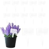 CNANRNANC 12 Stück Acryl-Kräuter-Gartenpflanzen-Etiketten für den zuverlässigen Einsatz im Freien, geeignet für Kräuter, Blumen und Setzlinge