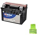 Kompatibel mit AEON Cobra 90 pro Jahr 0000 al 0000 AL 0000 Akku Tecnium YTX4L-BS 3 AMP 12 V Batterien bereit für den spezifischen Gebrauch Motorrad Scooter 113 x 70 x 85 mm