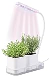 PEARL Anzuchtkasten mit Licht: Mini-Gewächs- & Anzucht-Station, 2 Töpfe, Wachstums-LEDs & Wassertank (Pflanzlicht, Aufzuchtstation, LED Beleuchtung)