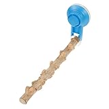 Toyvian Saugfuß Vogelstange aus Natürlichem Holz rutschfeste Papageien Sitzstange mit Kratzfreier Oberfläche Robustes Kauspielzeug für Wellensittiche Nymphensittiche und Kleine Vögel