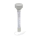 Bestway Flowclear Schwimmendes Pool-Thermometer, Grau, 5x5x19 cm