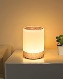 Nachttischlampe Touch Dimmbar, 256 RGB Farbwechsel Warmes LED Tischlampe Kabellos,2200mAh USB Aufladbar Lampe Batteriebetrieben Speicherfunktion Nachtlicht Kinder für Schlafzimmer Wohnzimmer