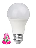 Bioledex GoLeaf LED Pflanzenlampe Vollspektrum E27 A60 9W Pflanzenbeleuchtung