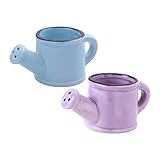 2 Stück Gießkanne Dekorative Bewässerung für Pflanzen für Garten Lila Blau