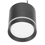 Shanrya Salzwasser-Aquarium-Licht, Aluminiumlegierung, Hochfrequenz-Reflektor, Meerwasser-Korallenlampe, 18 W, Metall-Wärmeableitung, Volles für Aquarien (ZY-K2 EU-Stecker 220 V)