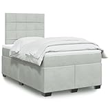 Juroupi Boxspringbett mit Matratze Hellgrau 120x200 cm Bett Boxspringbett Bett Mit Matratze Schlafzimmer MöBel Betten Samt - 3290882