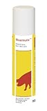 Kerbl Eberspray Boarmate, 80ml deutsch/englisch