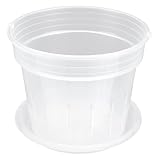 Levemolo Transparenter Orchideentopf Belüftungslöchern Kontrolliert Wurzelwachsend mit Untersetzern Geeignet für Phalaenopsis Anzucht Umtopfen und Hydroponik