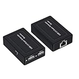 Feriany 100M 2 Ports USB 2.0 Extender über RJ45 Cat5e Cat6 Ethernet Netzwerkkabel für Webcam Kamera Maus Drucker EU STECKER