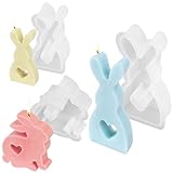 Osterhase 3 Stück Silikonform Silikonformen Gießformen, Silikonform Ostern 3D Kaninchen Gießform Raysin Gießformen, Ostern Kaninchen Gießformen für DIY Handwerk, Ostern Dekoration