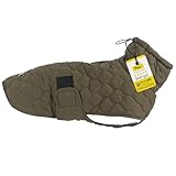 Wanderpfote Hundemantel in Grün, Größe M – Steppjacke Hundejacke Stilvoll und Elegant – Hundemantel Wasserdicht – optimal für kleine und mittelgroße Hunde – Hundemantel Winter, Wintermantel Hund
