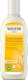 WELEDA Bio Hafer Aufbau-Shampoo, Naturkosmetik Pflegedusche für strapaziertes und trockenes Haar, Haarshampoo glättet die Haare und mindert Haarbruch und Spliss (1 x 190 ml)