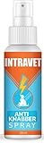 Saint Nutrition Intravet Anti Knabber Spray - Fernhaltespray für Katzen und Hunde – Katzenabwehr & Hundeabwehr für Indoor und Outdoor – natürliche Inhaltsstoffe, Nicht schädlich für Tiere