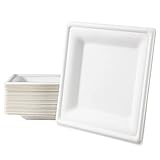 Love Nature Einwegteller 50 Stück - Einweg Teller Partyteller Eckig 26 cm aus Zuckerrohr - Einweggeschirr Umweltfreundliche Stabil zum Geburtstag, Grillabende und Picknicks