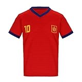 Blackshirt Company Spanien Trikot Fußball WM EM Fan Trikot Rot