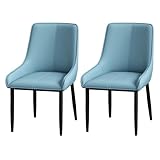 MVBCXZXAZ Moderne Esszimmerstühle, 2er-Set, gepolsterte Rückenlehne und Stahlrahmenbeine, Make-up-Stuhl für Schlafzimmer, Loungesessel für Esszimmer/Wohnzimmer, Metallbeine im Lieferumfang enthalten