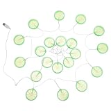 DECHOUS LED Lichterkette USB Wiederaufladbar 3m mit Limettenscheiben Mikro Leds Raumdeko für Indoor Valentinstag Hochzeit Camping