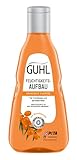 Guhl Feuchtigkeitsaufbau Shampoo - Inhalt: 250 ml - Verleiht trockenem Haar Feuchtigkeit