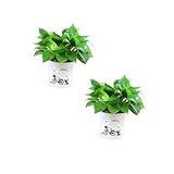 GALPADA 2 STÜCK Selbstbewässernde Kunststoff Blumentöpfe mit Baumwollseil Wasserspeicher für Zimmerpflanzen und Sukkulenten Hitze und Kältebeständig Dekorativer Pflanzkübel für Zuhause