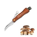 Cutiolly Pilzmesser,Pilzmesser Braun,Pilzmesser mit Bürste,Schwammerlmesser mit Pinsel,Klappmesser mit Gebogener,Kleines Taschenmesser,Edelstahl Pilzsammler Messer,Champignon Trüffel Taschenmesser