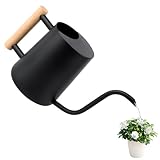 Gießkanne 1L,Giesskanne Zimmerpflanzen Klein Indoor,Giesskanne mit langem Auslauf und komfortablem Holzgriff,Edelstahl Gieskanne Schwarz für Topfpflanzen Sukkulenten,Metall Gartengießkanne für innen