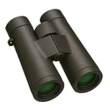 Bigfish Provision Reise Fernglas mit Dioptrienausgleich, Weitwinkelokularen, Vollgummiarmierung, Reiseformat, Dämmerungsbeobachtung, Bootsausflüge, Fernreisen