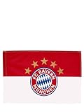 FC Bayern München Fahne I Logo Rot-Weiß I 150x100 cm I Fußball