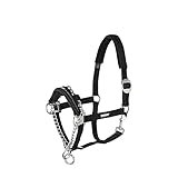 CONTROL Halfter inkl. Führkette -schwarz-