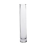 Sandra Rich Glasvase, Blumenvase SOLIFLEUR H. 22 cm D. 4cm rund transparent