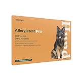 vetevo Allergietest Pro Hund, Unverträglichkeitstest Hunde 150+ Unverträglichkeiten Speichelprobe bei Juckreiz & Verdauungsprobleme, Testsieger