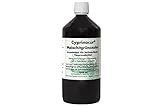Cyprinocur gegen Pilz-Infektionen - Malachit-Grün-Oxalat (1 l) für Koi zur Behandlung von Weißpünktchen-Krankheit (Ichthyo) auf Zierfischen und anderen Teich-Fischen im Gartenteich