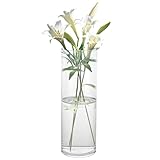 ZOFUN 30cm Glasvase Gross Klar Glasvase Zylinder Runde, Blumenvase Glas Vasen Vase Groß für Orchideen, Rosen, Tulpen, Pampasgras, Tischdeko, Kerze etc