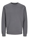JACK & JONES Male Sweatshirt Einfarbig Sweatshirt