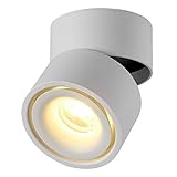 Dr.lazy 10W LED Aufbauleuchte Deckenleuchte, Deckenspots, wandleuchten, Deckenfluter, Deckenstrahler, DeckenLampe, Deckenbeleuchtung, Deckenleuchte, Aluminium