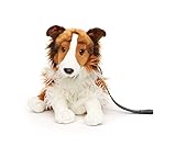 Uni-Toys - Langhaarcollie mit Leine, sitzend - Gesicht weiß-braun - 27 cm (Höhe) - Plüsch-Hund, Collie, Haustier - Plüschtier, Kuscheltier