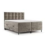 maison de reve - Boxspringbett 160x200 cm URBANEO, mit Bettkasten, Bett mit H3 Taschen Matratze (19 cm hoch), Polsterbett mit Visco-Topper mit Algae Bezug, Boxbetten, Boxspringbetten - Dunkelbeige