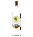 DOLOMITI Williams Edelbrand 40% vol. | Williams Christ Birnenbrand | fruchtiger Brand aus Williams-Christ-Birnen | 1 x 1 Liter
